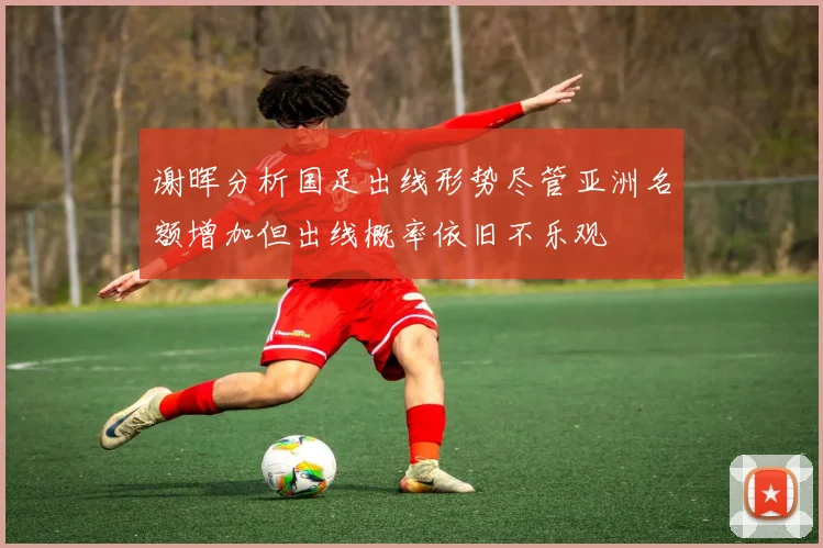 谢晖分析国足出线形势尽管亚洲名额增加但出线概率依旧不乐观