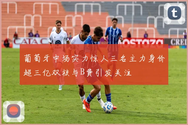 葡萄牙中场实力惊人三名主力身价超三亿双核与B费引发关注
