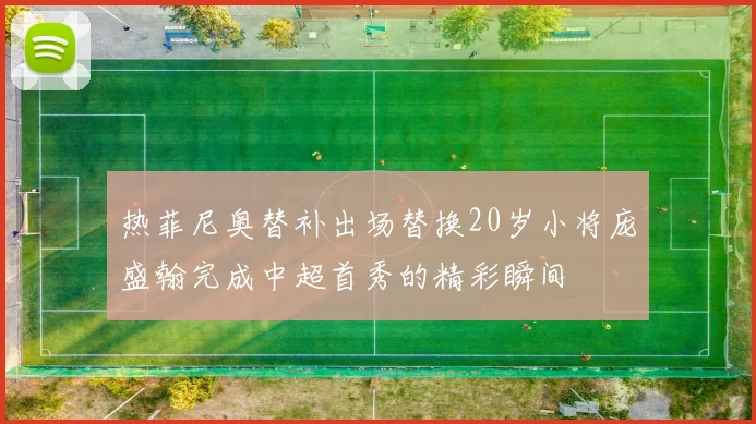 热菲尼奥替补出场替换20岁小将庞盛翰完成中超首秀的精彩瞬间