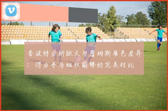 香波特分析欧文与詹姆斯角色差异：得分手与组织前锋的完美对比